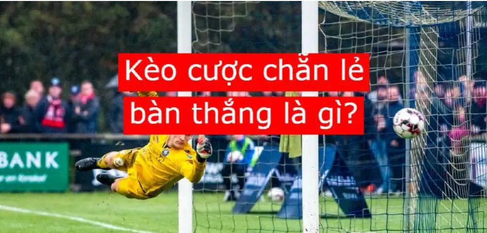 Nghiên cứu về kèo cược chẵn lẻ bàn thắng trong cá độ bóng đá