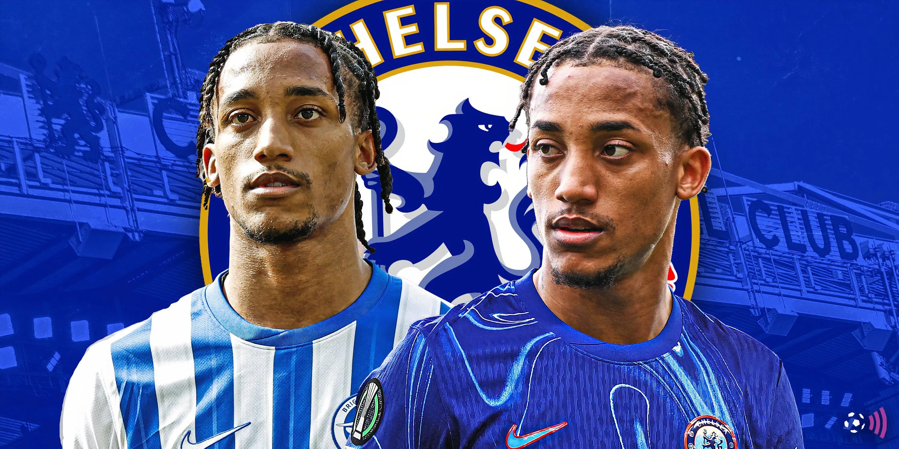 Tiền đạo Joao Pedro của Brighton được liên hệ chuyển đến Chelsea