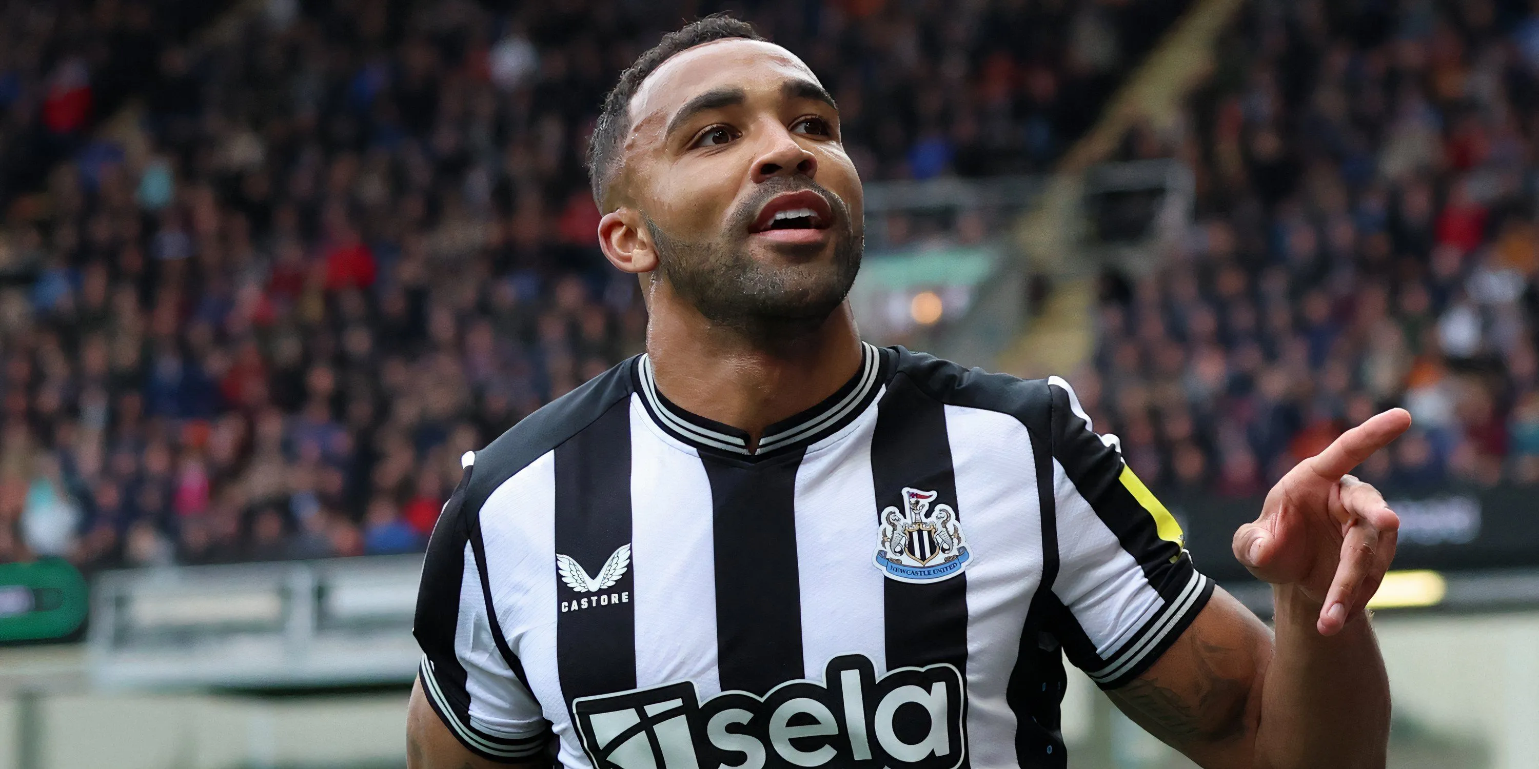 Tiền đạo Callum Wilson của Newcastle United ăn mừng bàn thắng
