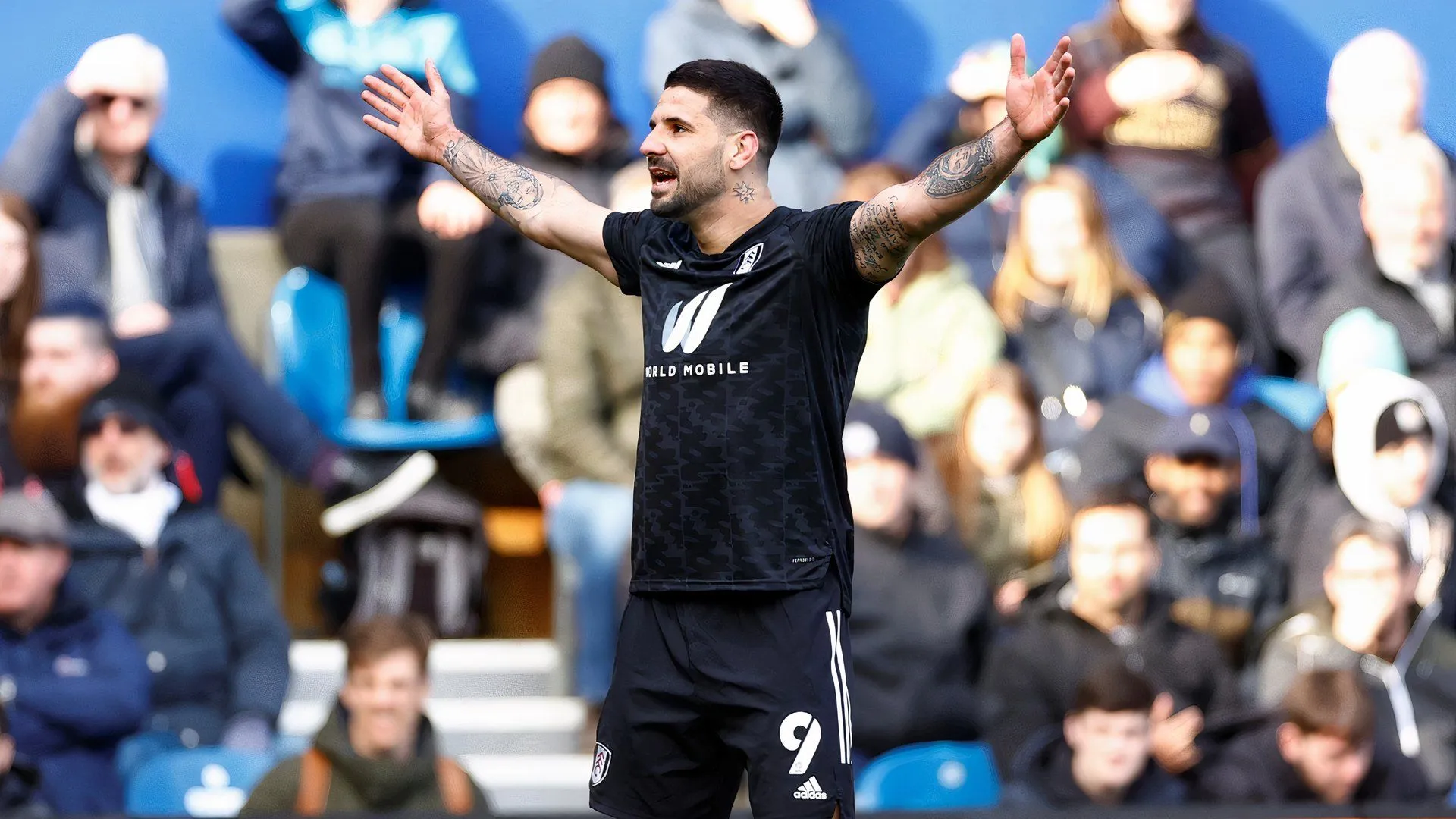 Aleksandar Mitrovic tiền đạo cắm từng khoác áo Fulham